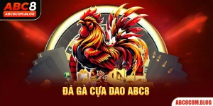 Đá Gà Cựa Dao ABC8 - Nơi Hội Tụ Các Cuộc Chiến Máu Lửa